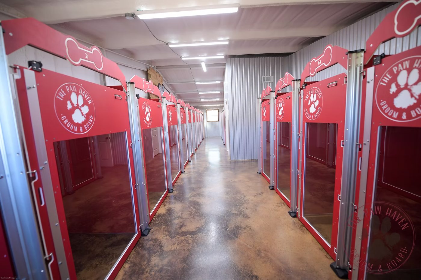 Wide view of The Paw Haven boarding room with two rows of numbered red glass-front kennels