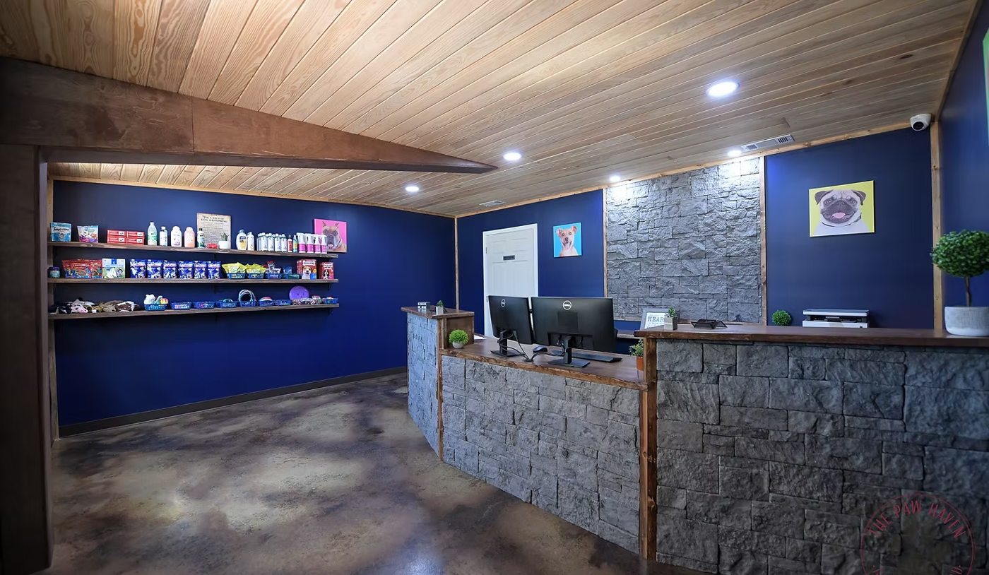 The Paw Haven lobby and reception area